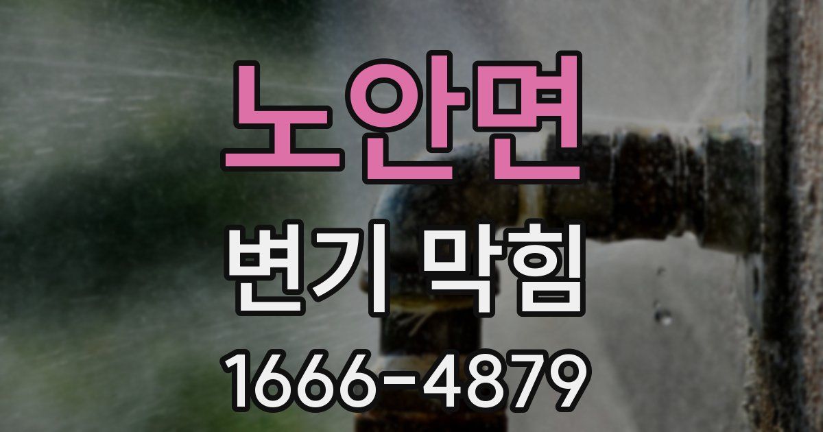 노안면 변기 막힘