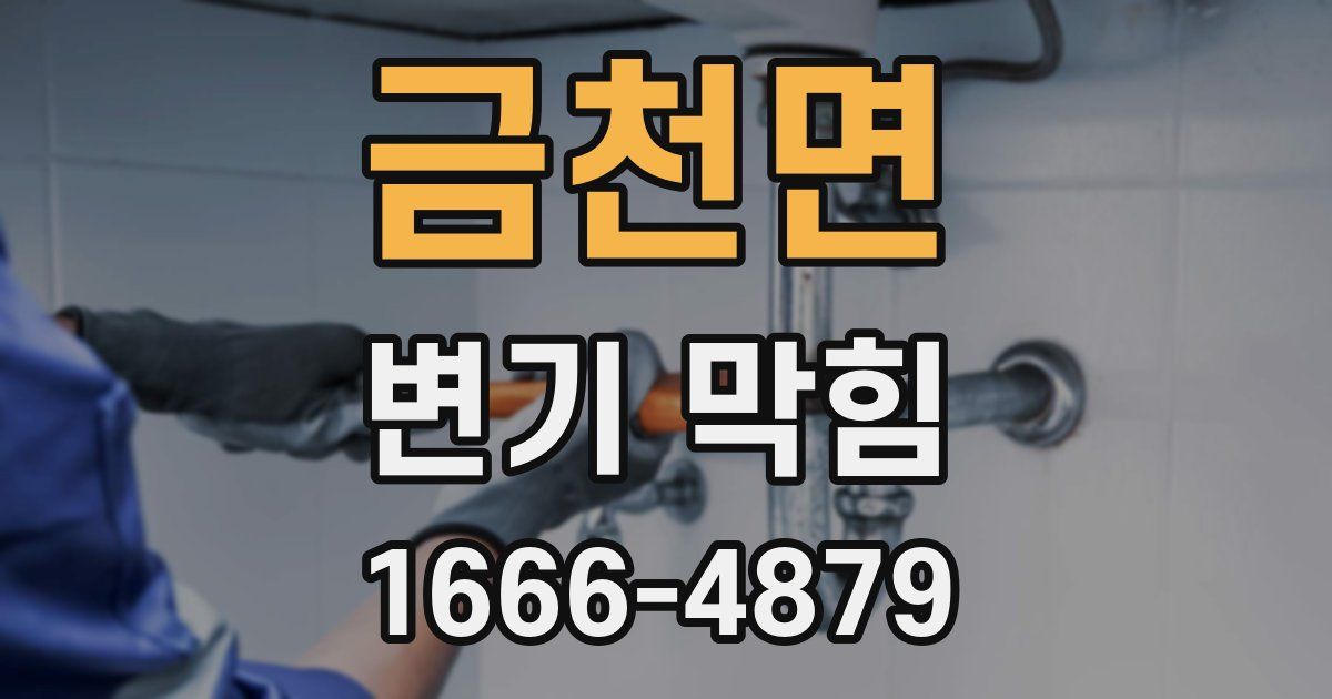 금천면 변기 막힘