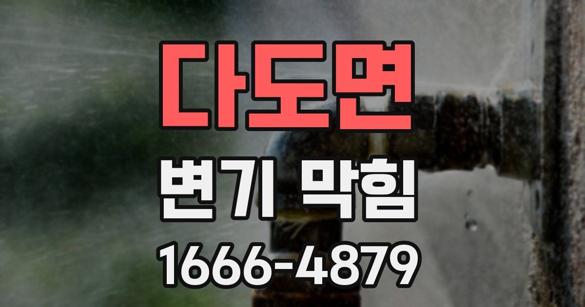 다도면 변기 막힘