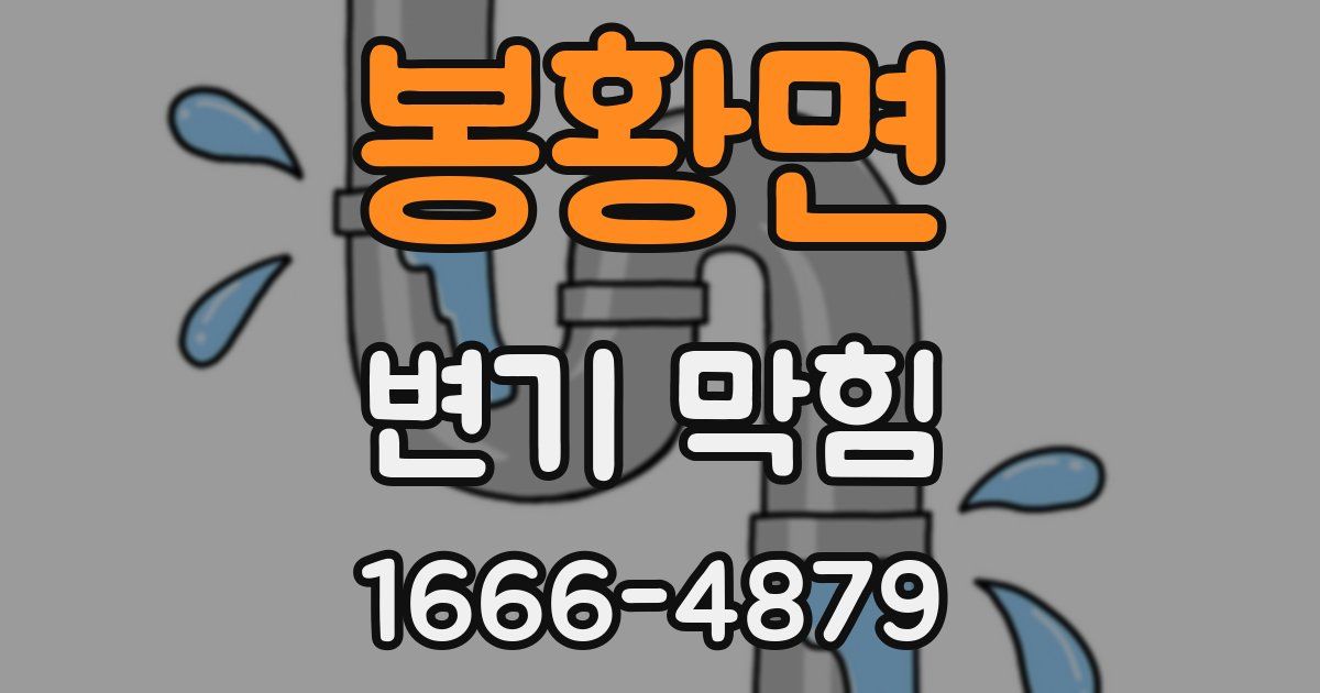 봉황면 변기 막힘