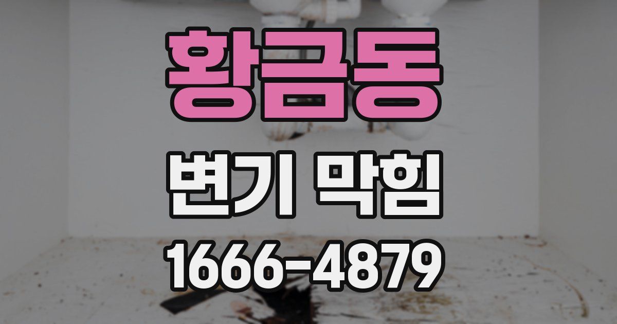 황금동 변기 막힘