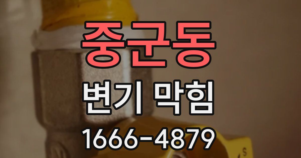 중군동 변기 막힘