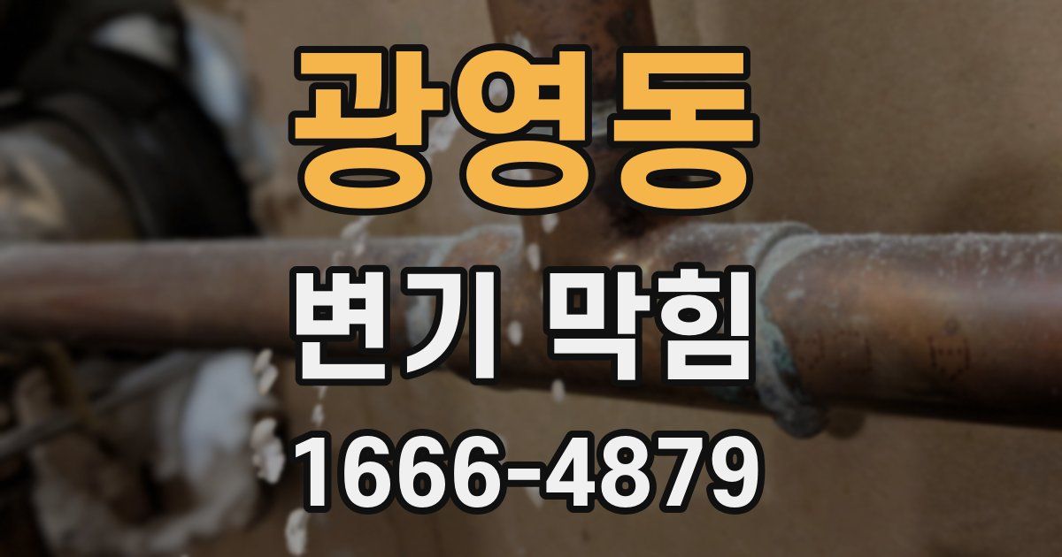 광영동 변기 막힘