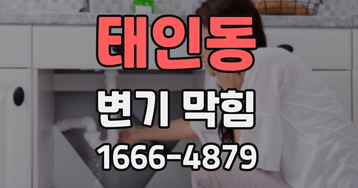 태인동 변기 막힘