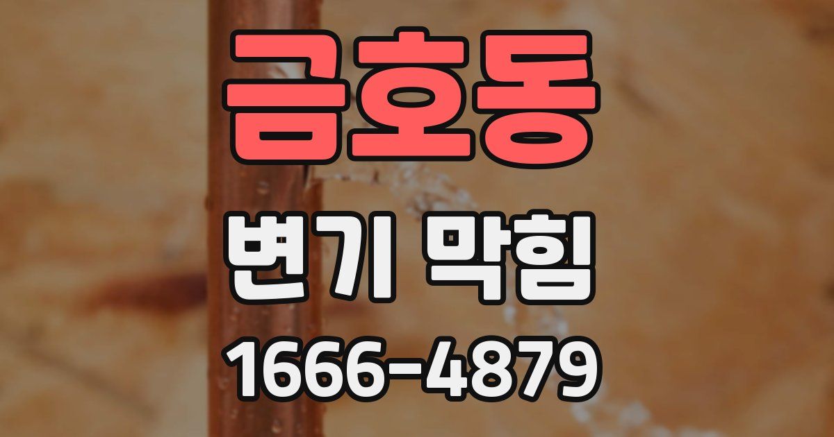 금호동 변기 막힘