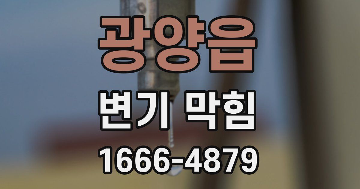 광양읍 변기 막힘