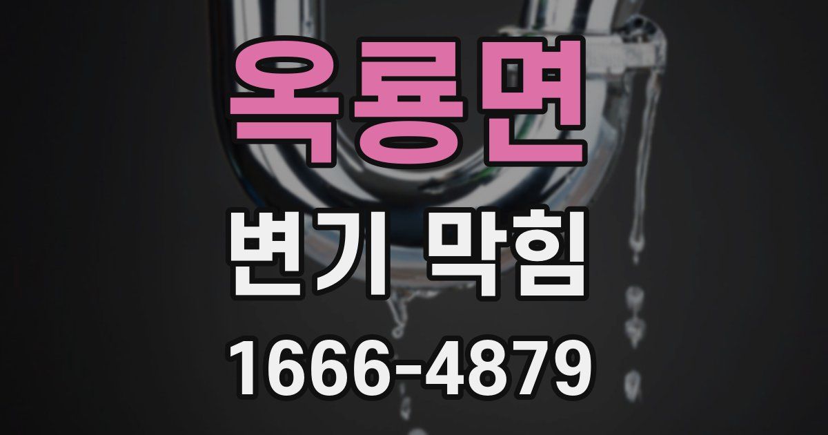 옥룡면 변기 막힘