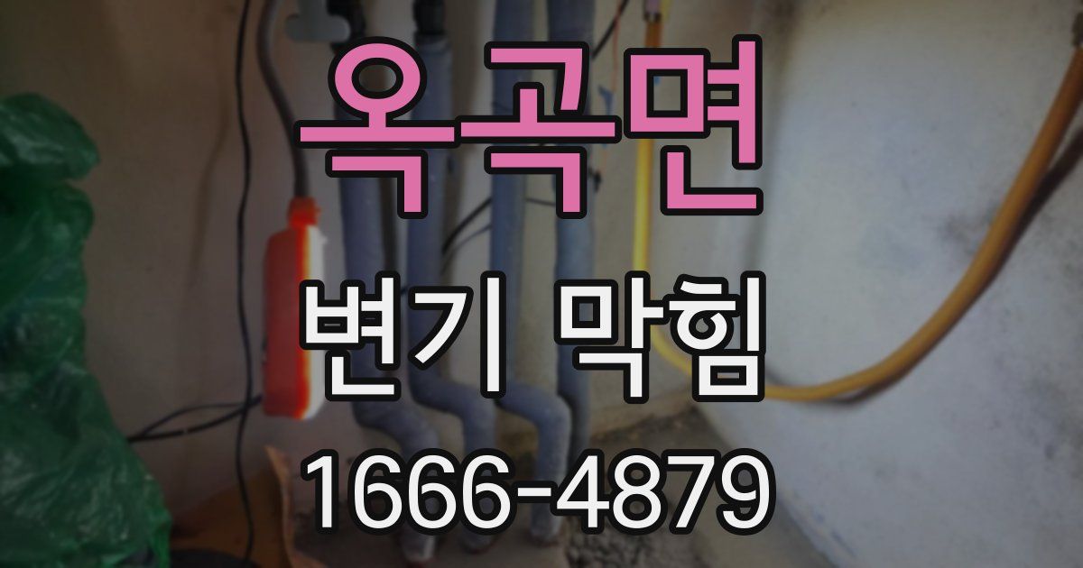 옥곡면 변기 막힘
