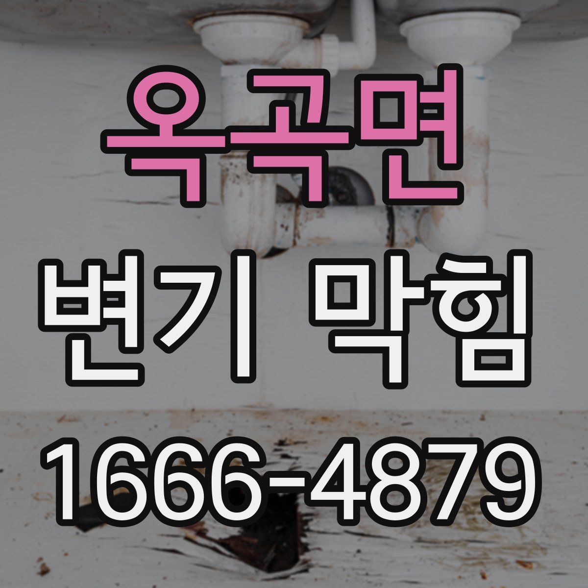 옥곡면 변기 막힘