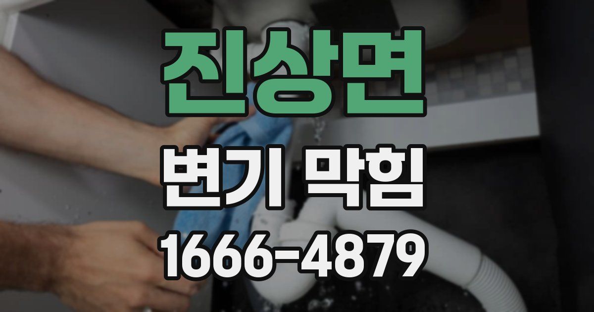 진상면 변기 막힘