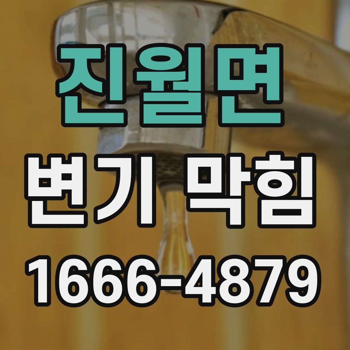 진월면 변기 막힘