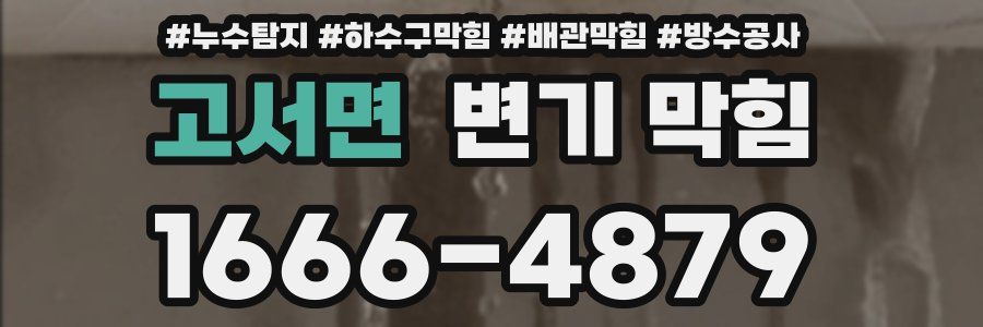 고서면 변기 막힘