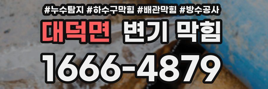 대덕면 변기 막힘