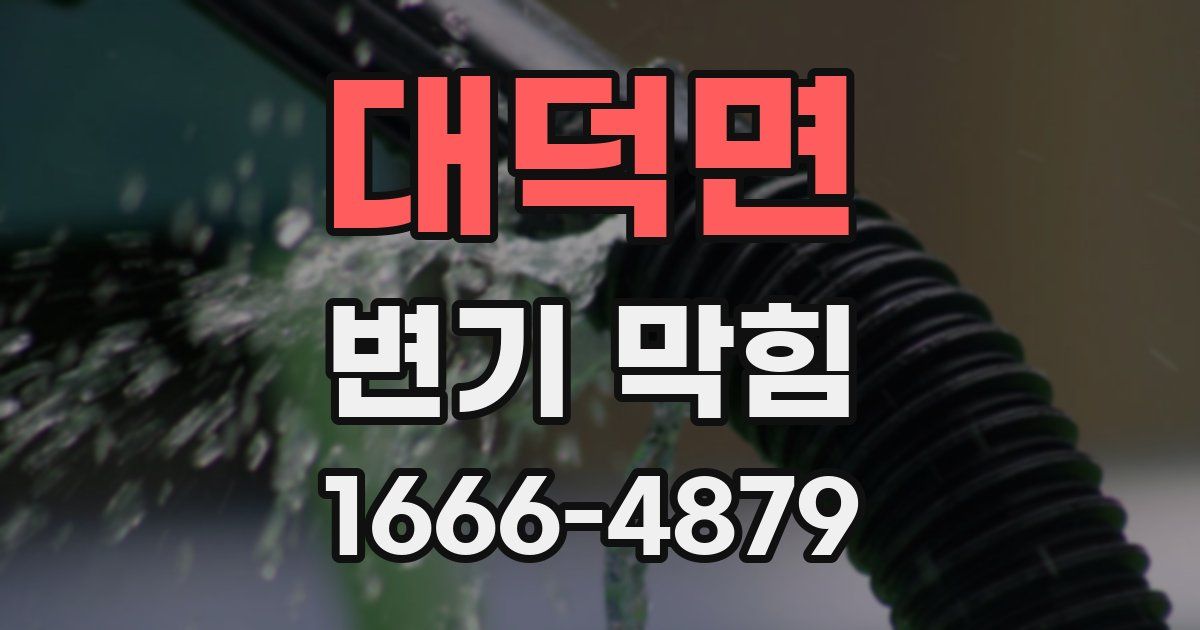 대덕면 변기 막힘
