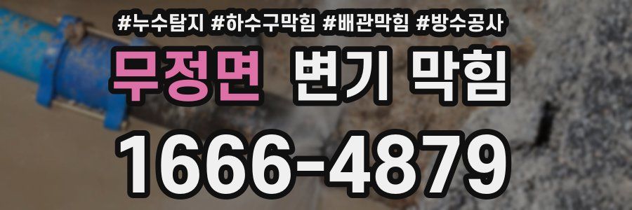 무정면 변기 막힘