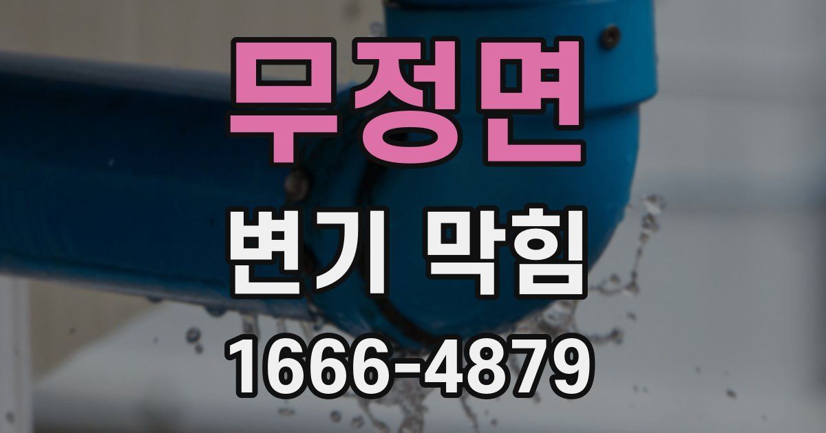 무정면 변기 막힘