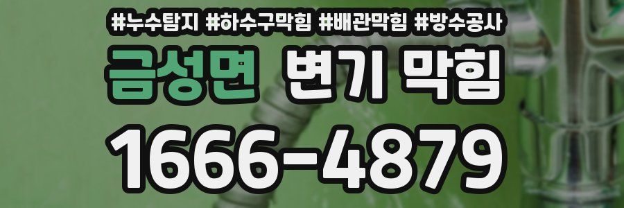 금성면 변기 막힘