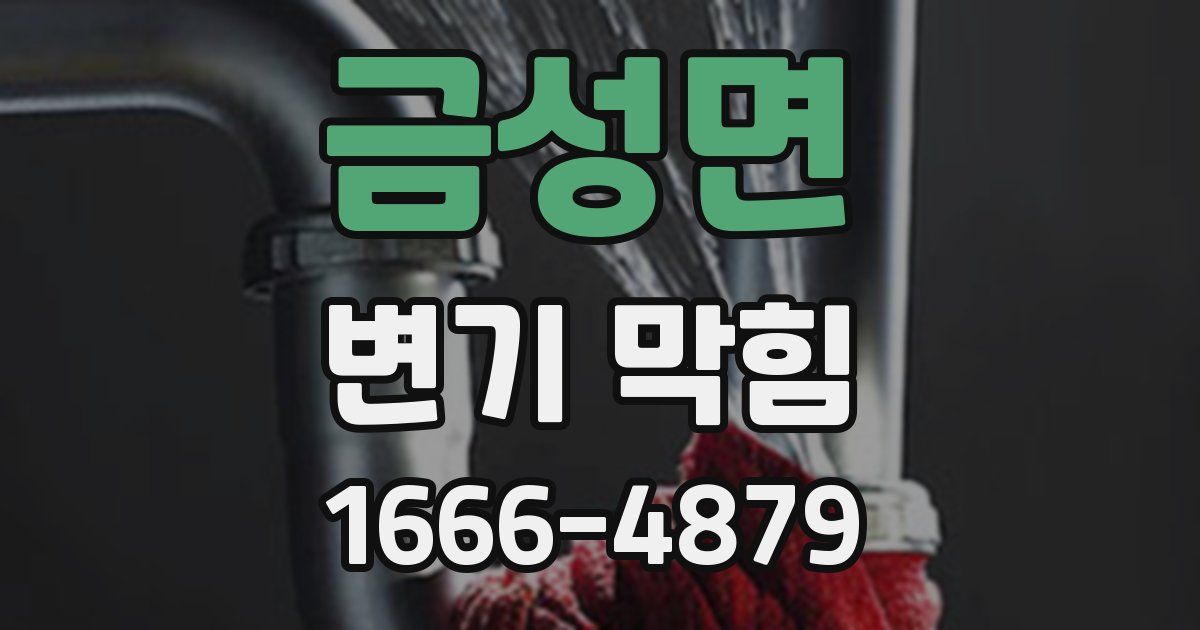 금성면 변기 막힘