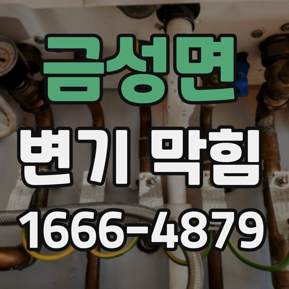 금성면 변기 막힘