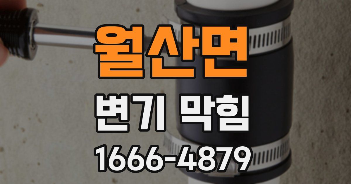 월산면 변기 막힘
