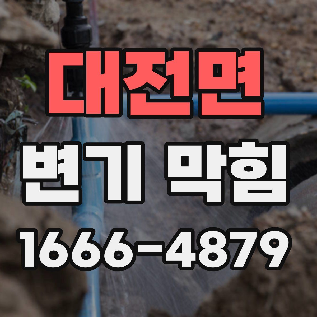 대전면 변기 막힘