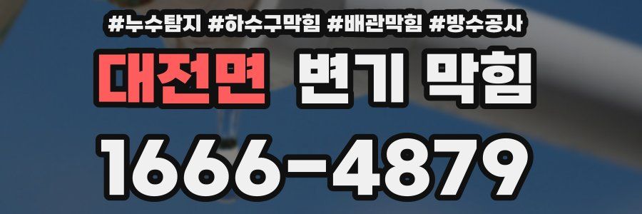 대전면 변기 막힘