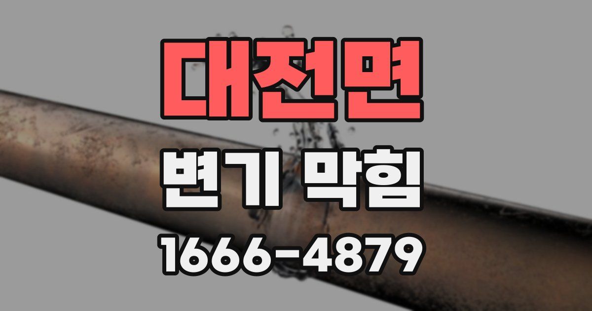 대전면 변기 막힘