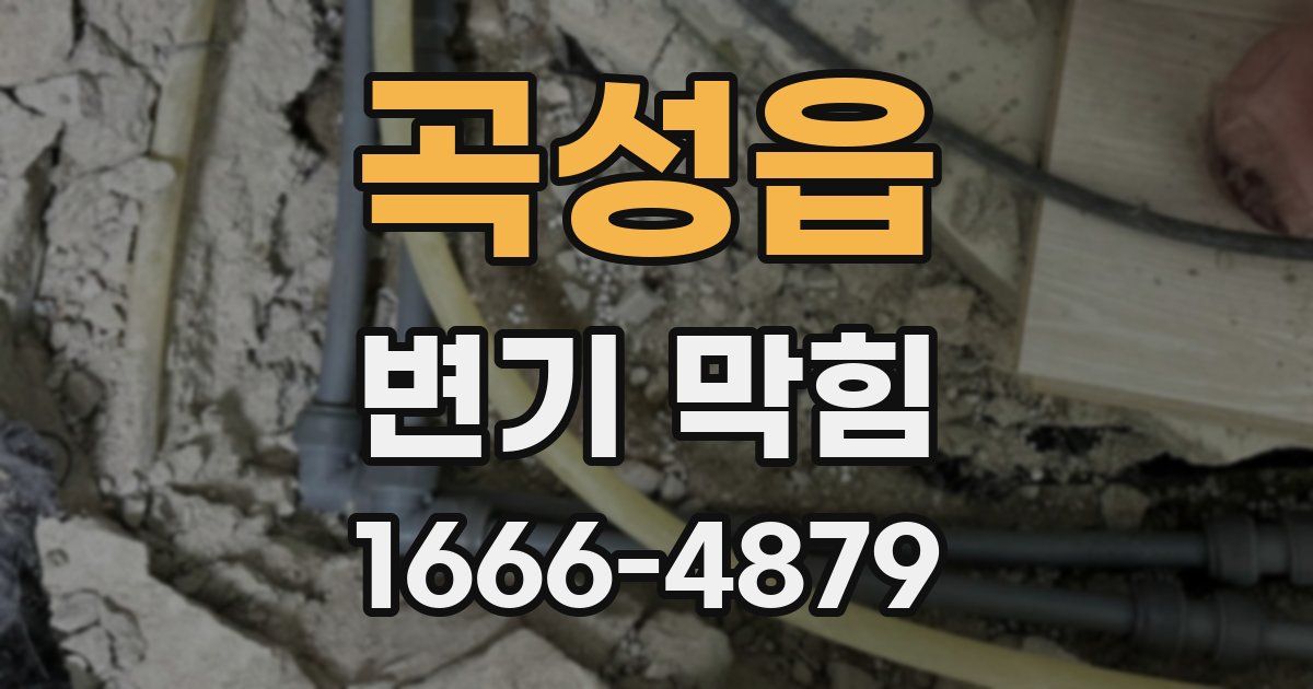 곡성읍 변기 막힘