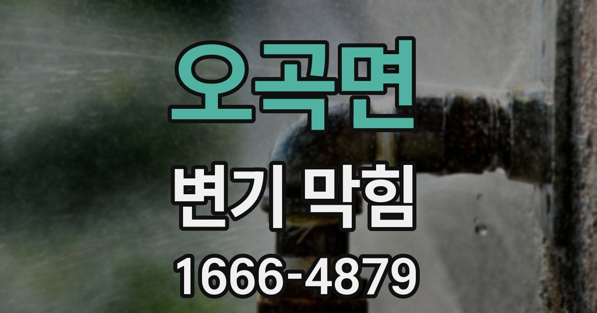 오곡면 변기 막힘