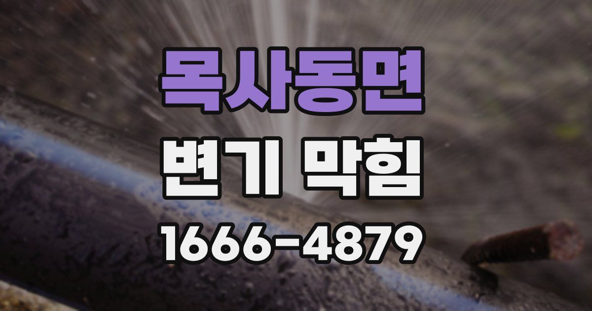 목사동면 변기 막힘