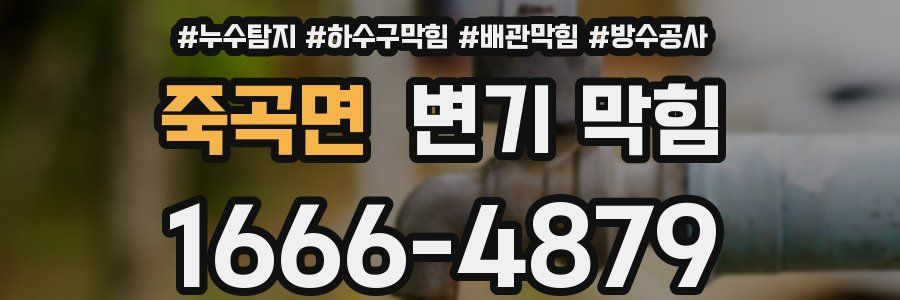 죽곡면 변기 막힘