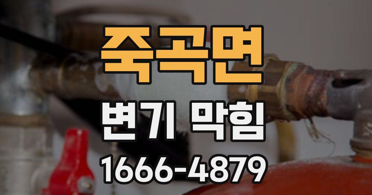 죽곡면 변기 막힘