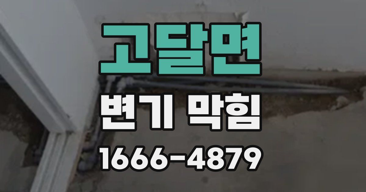 고달면 변기 막힘