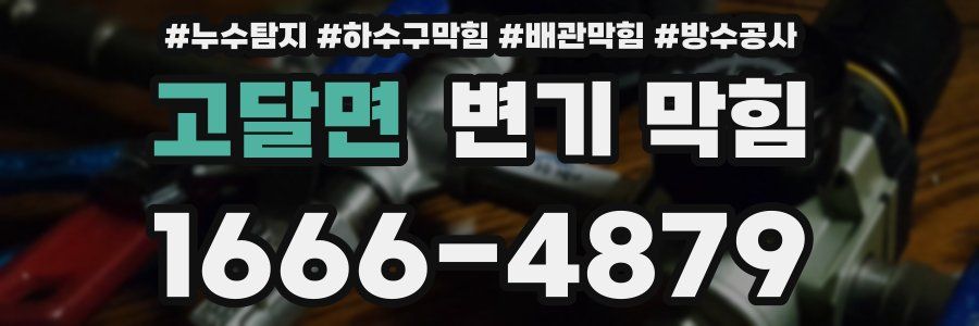 고달면 변기 막힘