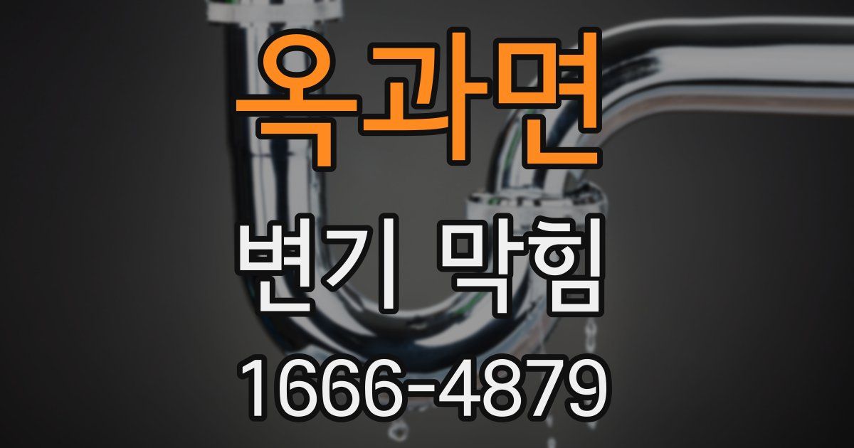 옥과면 변기 막힘