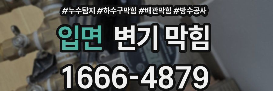 입면 변기 막힘