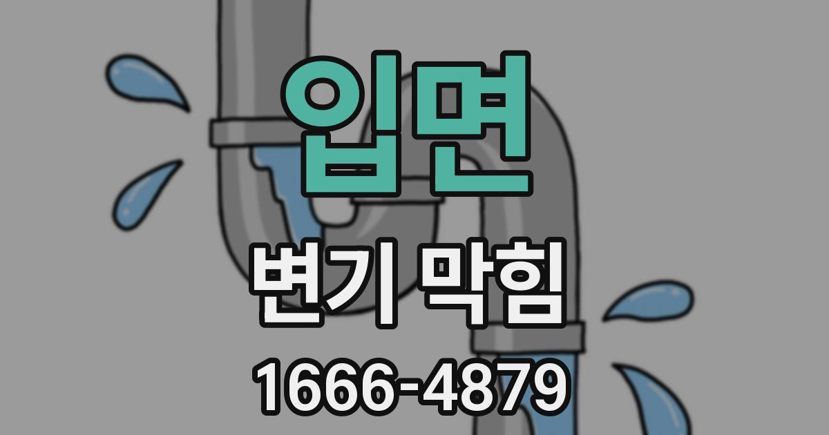 입면 변기 막힘