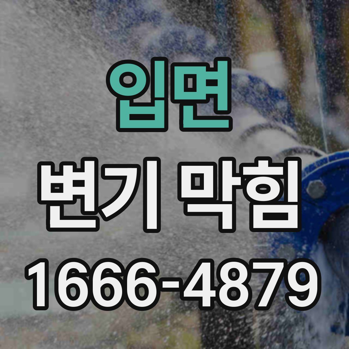 입면 변기 막힘