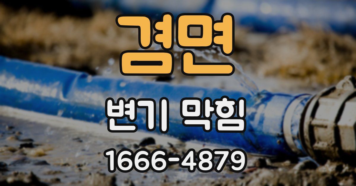 겸면 변기 막힘