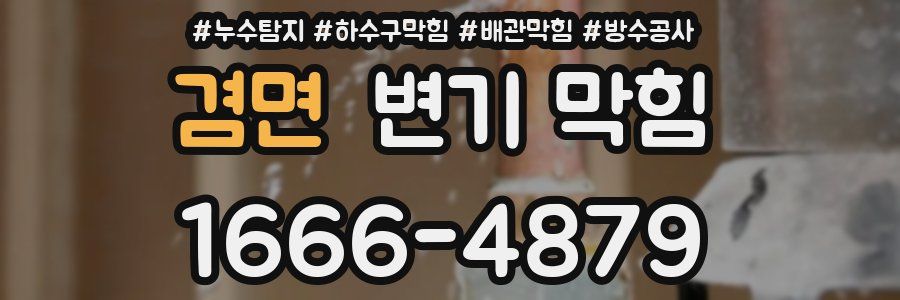 겸면 변기 막힘