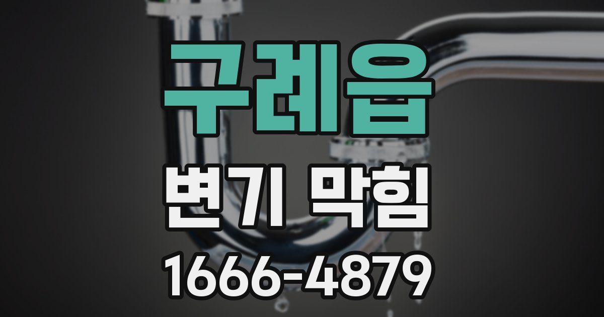 구례읍 변기 막힘