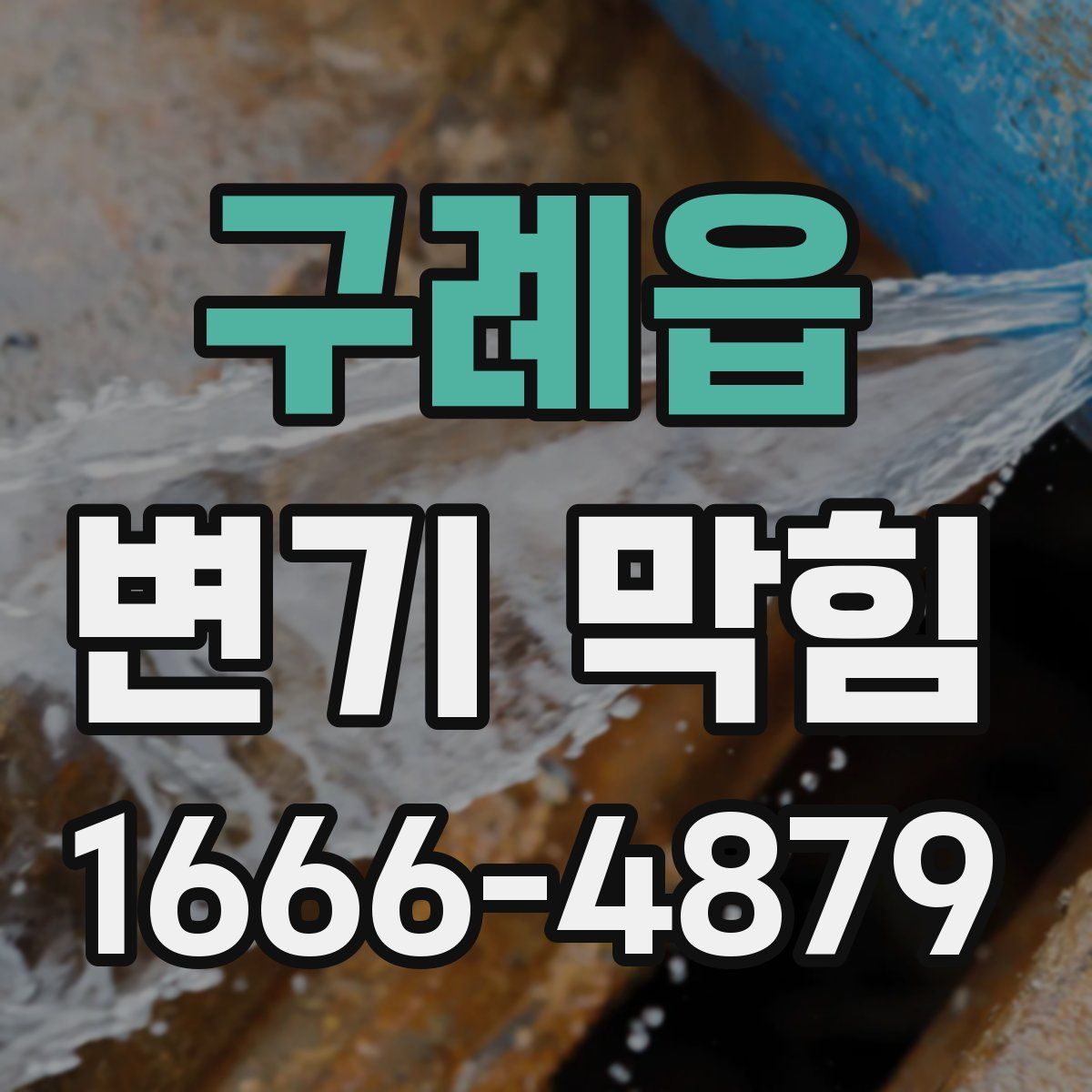 구례읍 변기 막힘