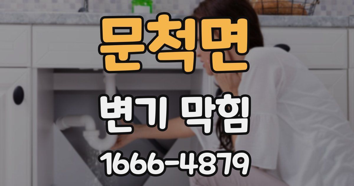문척면 변기 막힘