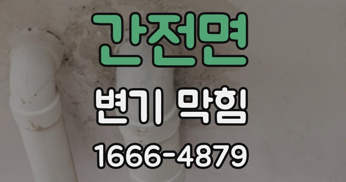 간전면 변기 막힘