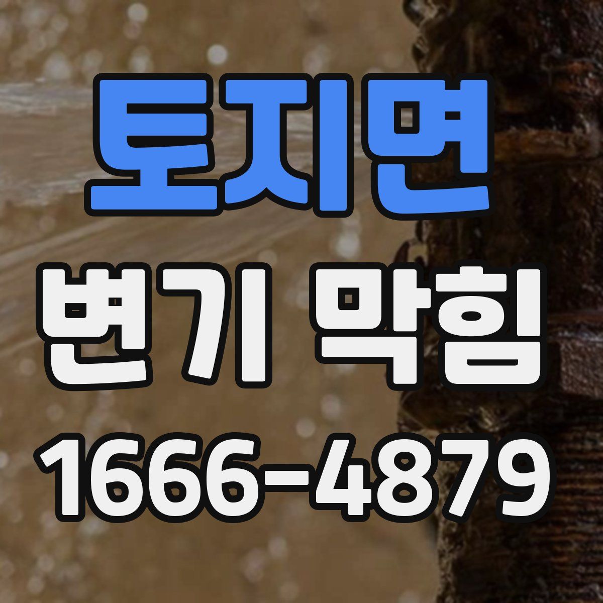 토지면 변기 막힘