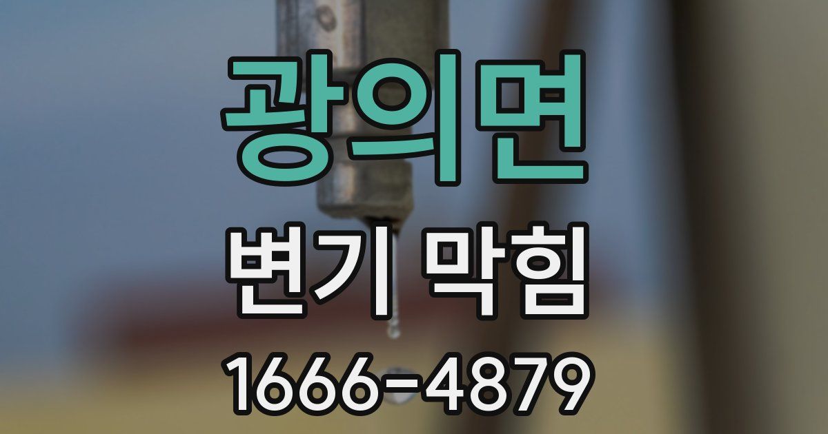 광의면 변기 막힘