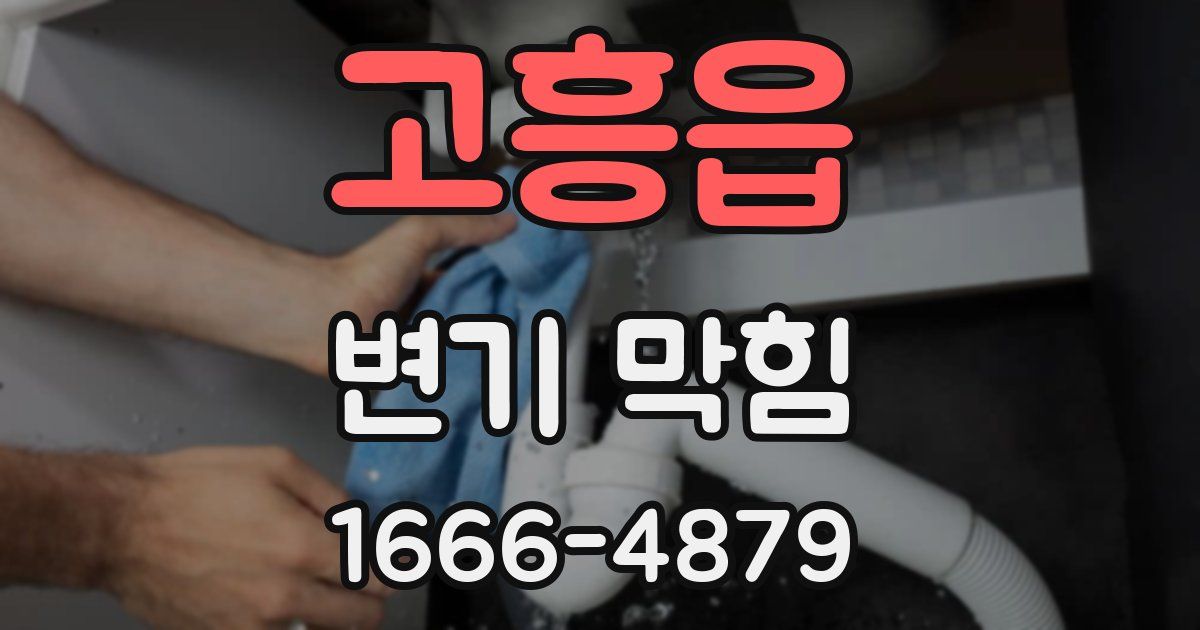고흥읍 변기 막힘