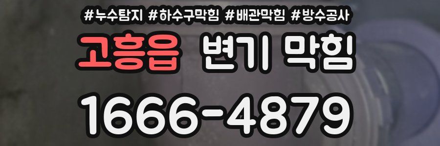 고흥읍 변기 막힘