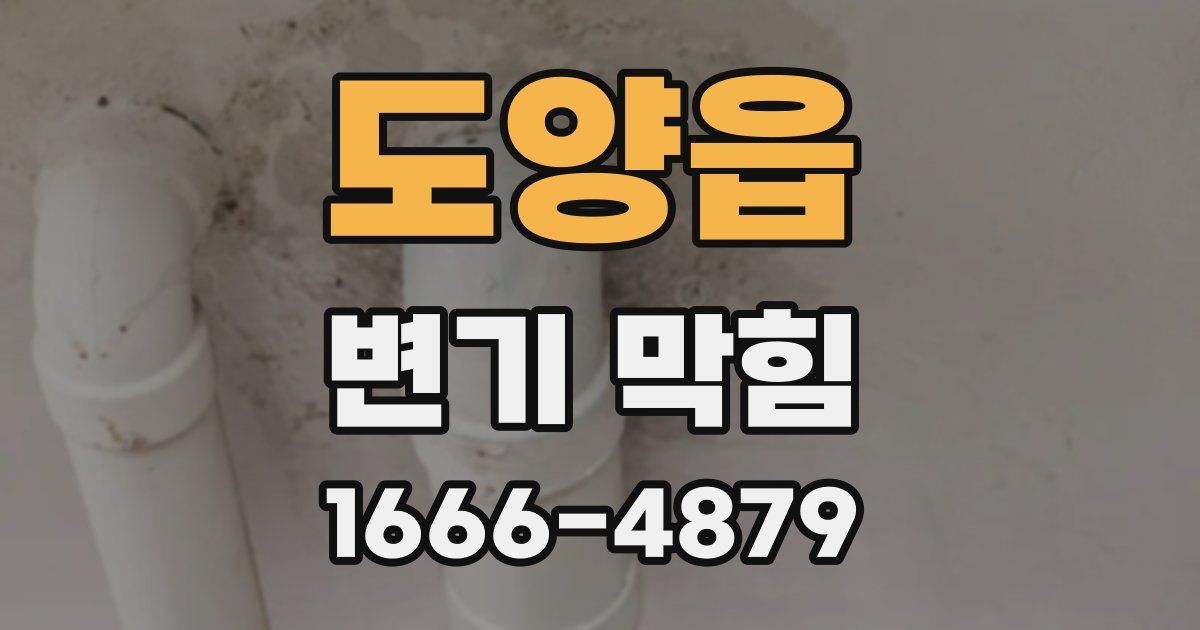 도양읍 변기 막힘