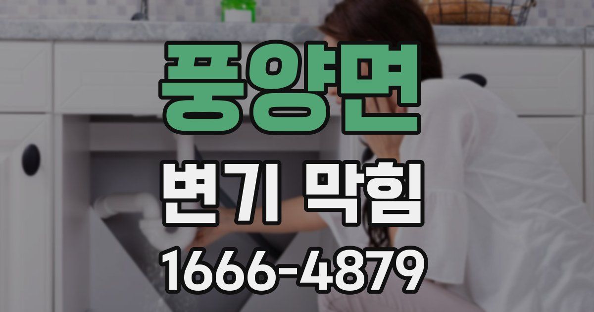 풍양면 변기 막힘